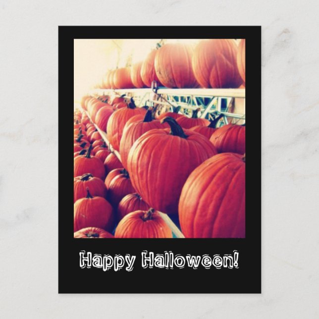 Postales de calabaza (Anverso)