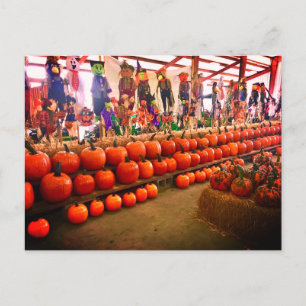 Postales de calabaza