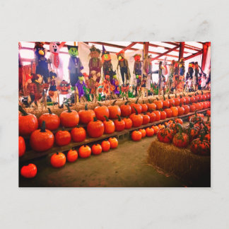 Postales de calabaza
