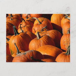 Postales de calabazas