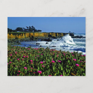 Postales de California Coast