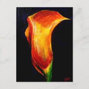 Postales de Calla Lily III