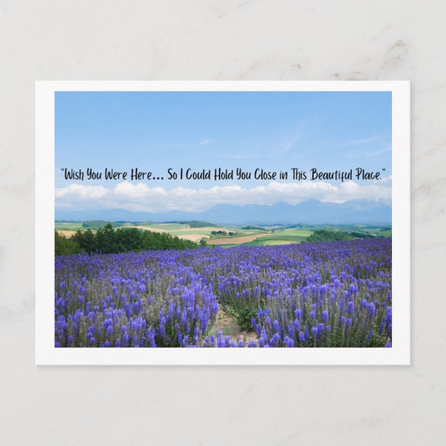 Postales de campos de lavanda (Anverso)