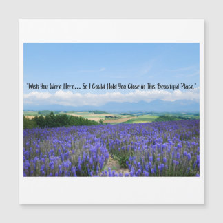 Postales de campos de lavanda