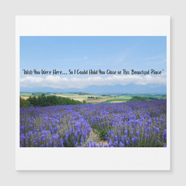 Postales de campos de lavanda (Anverso)