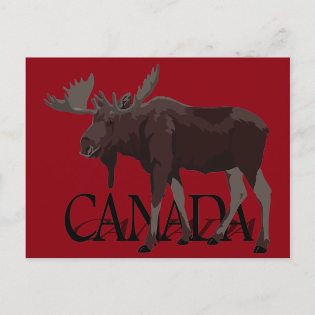 Postales de Canadá Moose Postales de Canadá (Anverso)