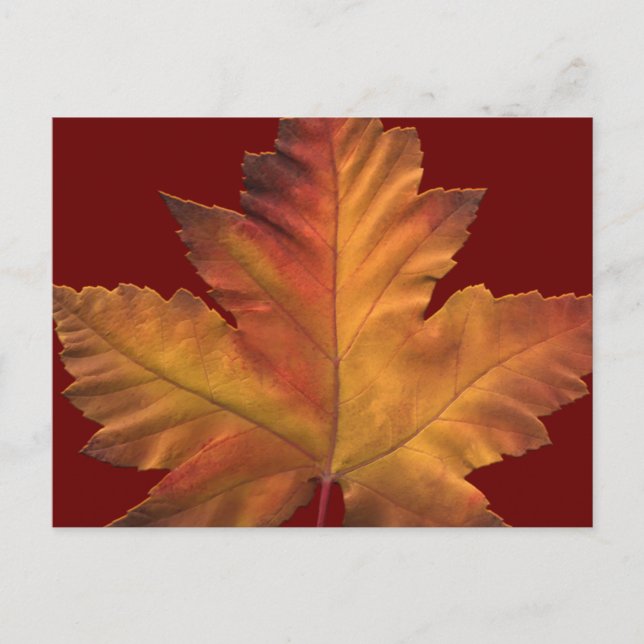 Postales de Canadá Personalizado de postales y pos (Anverso)