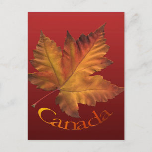 Postales de Canadá Personalizado de postales y pos