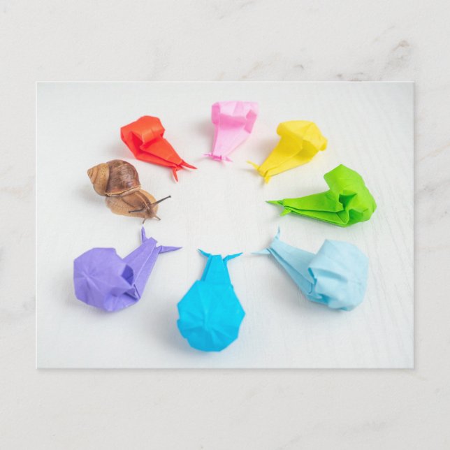 Postales de caracoles coloridos (Anverso)