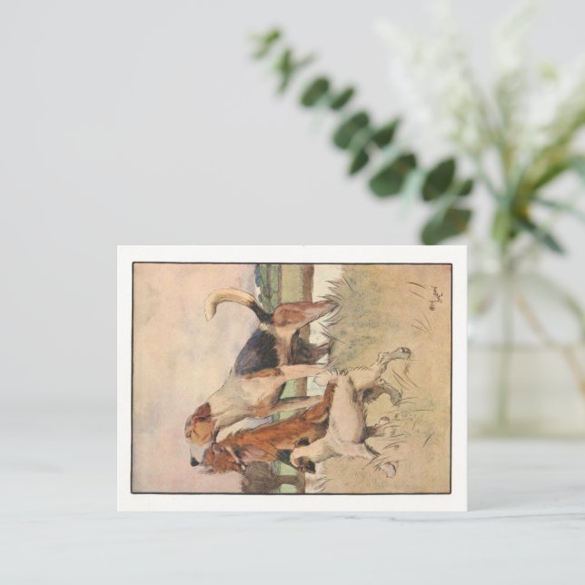 Postales de Cecil Aldin (Anverso de pie)