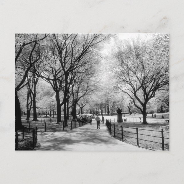Postales de Central Park (Anverso)