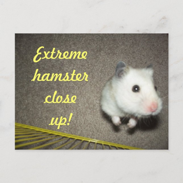 Postales de cierre de hamster extremo (Anverso)