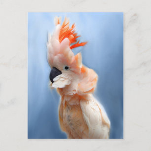 Postales de Cockatoo en Creste de Salmon