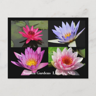 Postales de Collage Waterlily SG #1N 1100