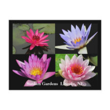 Postales de Collage Waterlily SG #1N 1100