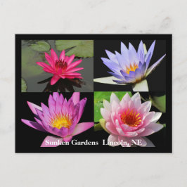 Postales de Collage Waterlily SG #1N 1100
