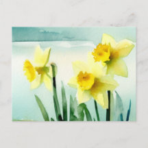 Postales de color de agua de Daffodil
