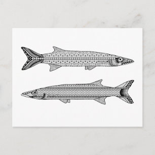 Postales de color para adultos Barracuda Fish