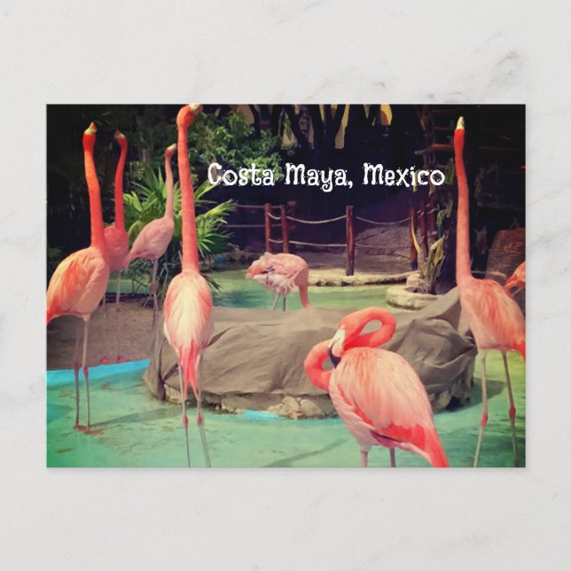 Postales de Costa Maya México (Anverso)