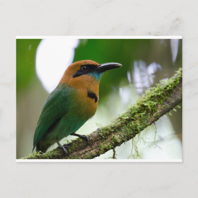 Postales de Costa Rica (Anverso)