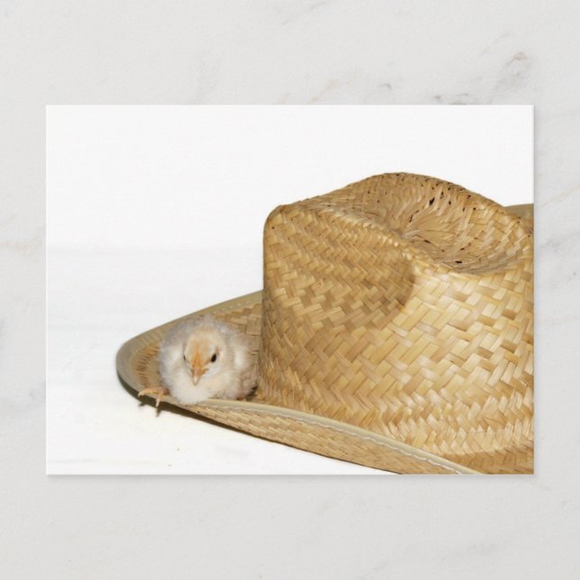 Postales de Country Western Easter (Anverso)