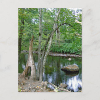 Postales de Creek de Carolina del Norte