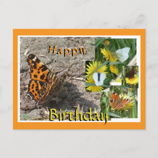 Postales de cumpleaños de Collage de mariposas de  (Anverso)