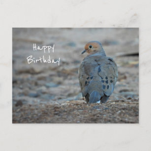 Postales de cumpleaños de Cute Mourning Dove