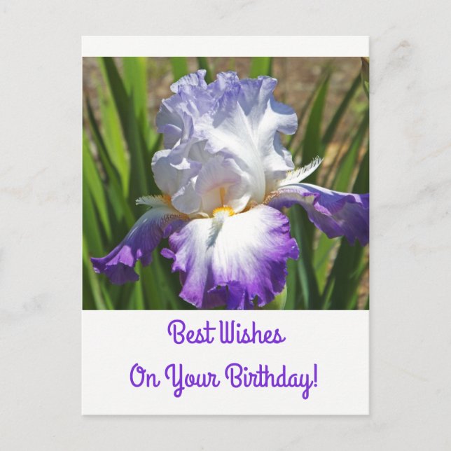 Postales de cumpleaños/Iris blanco y morado/Mejor  (Anverso)