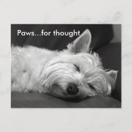 Postales de cute westie