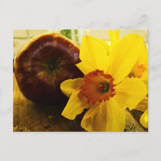 Postales de Daffodil y Apple