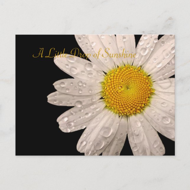 Postales de Daisy "Una pequeña gota de sol" (Anverso)