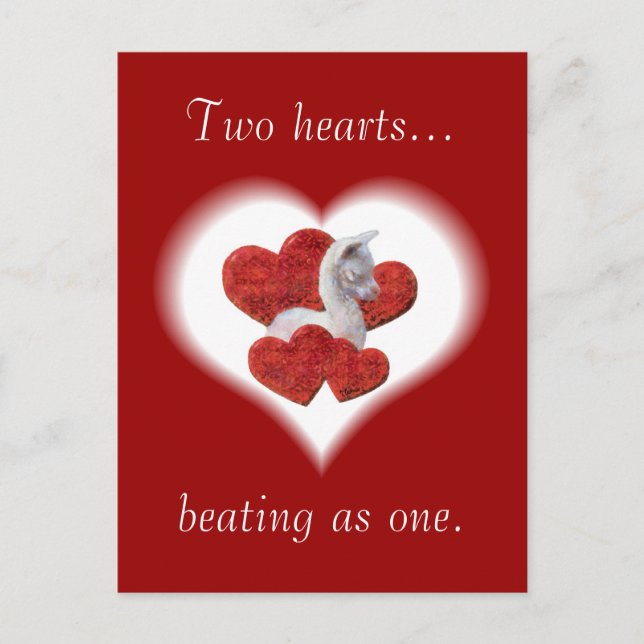 Postales de Día de San Valentín para bebés de Alpa (Anverso)