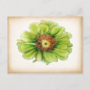 Postales de dibujos botánicos