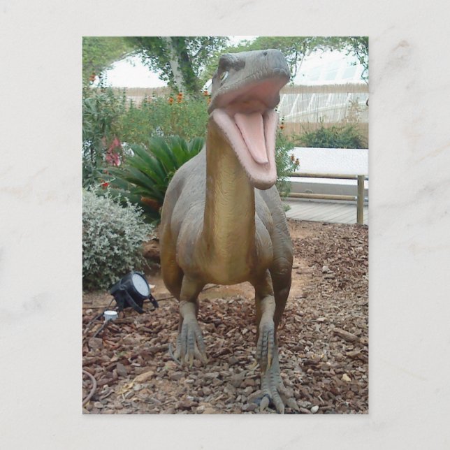 Postales de dinosaurio de Velociraptor (Anverso)