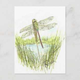 Postales de Dragonfly