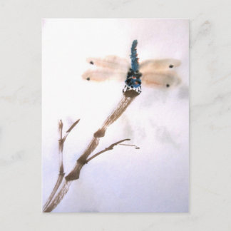 Postales de Dragonfly