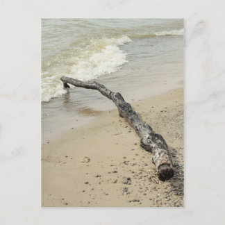 Postales de Driftwood