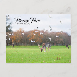 Postales de Dublín en Phoenix Park