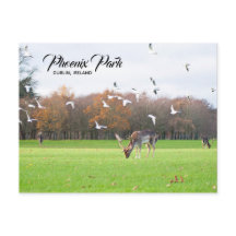 Postales de Dublín en Phoenix Park