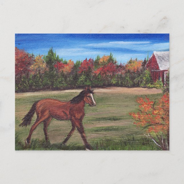 Postales de ejecución de libertad (Anverso)