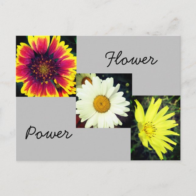 Postales de energía de flor (Anverso)