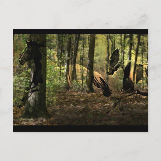 Postales de Espíritu de caballo (Anverso)