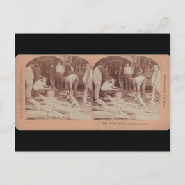 Postales de esturión - Rusia estéreo