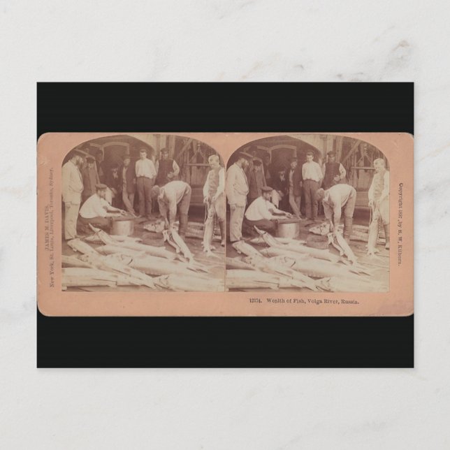 Postales de esturión - Rusia estéreo (Anverso)