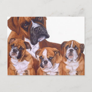 Postales de familia Boxer