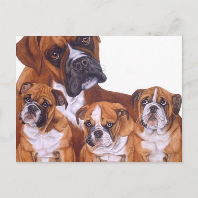 Postales de familia Boxer (Anverso)