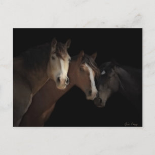 Postales de fantasmas del desierto