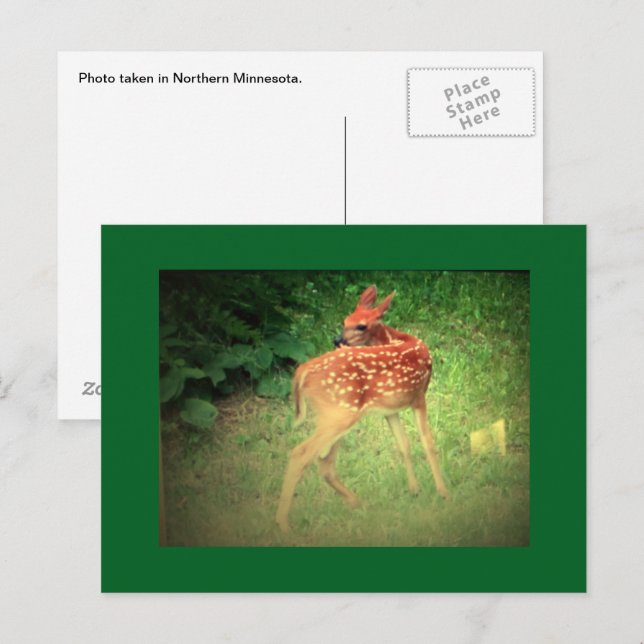 Postales de Fawn (Anverso / Reverso)