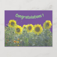 Postales de felicitaciones a los girasoles